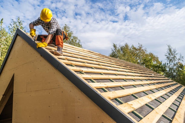 Gutter Installation and Roofing in Tyhee, ID